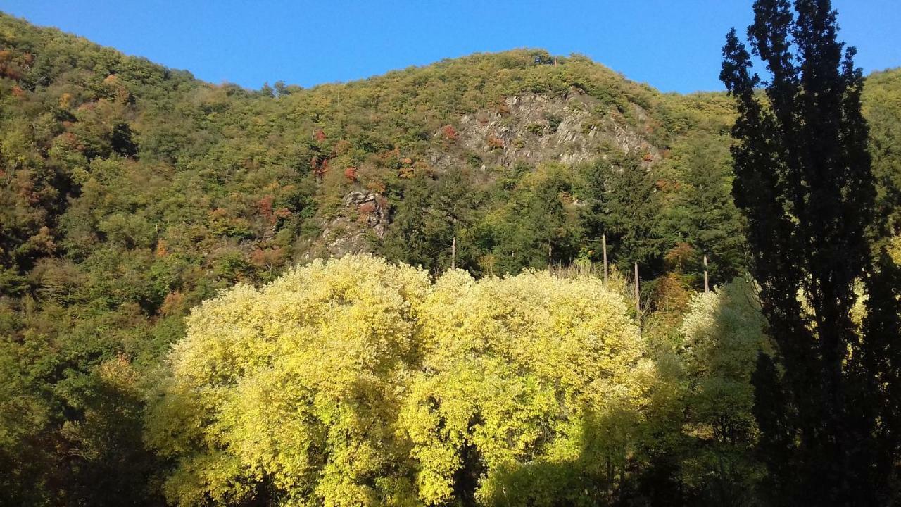Domizil * Bad Bertrich